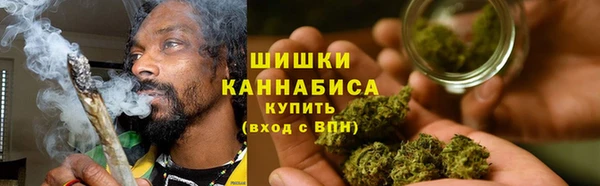 гидра Арсеньев
