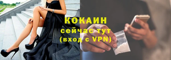 гидра Арсеньев