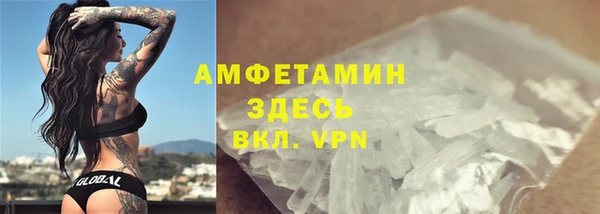 гидра Арсеньев