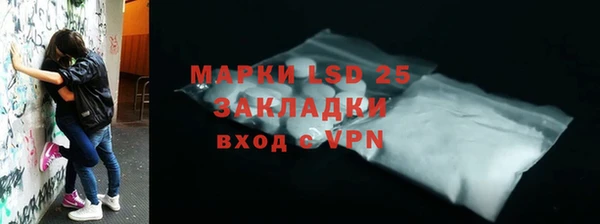 гидра Арсеньев