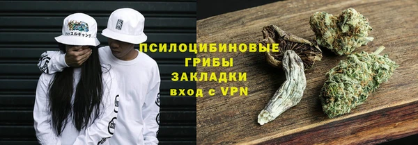 гидра Арсеньев