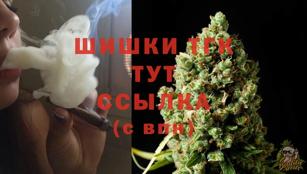 гидра Арсеньев
