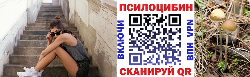 даркнет сайт Ростов Псилоцибиновые грибы прущие грибы
